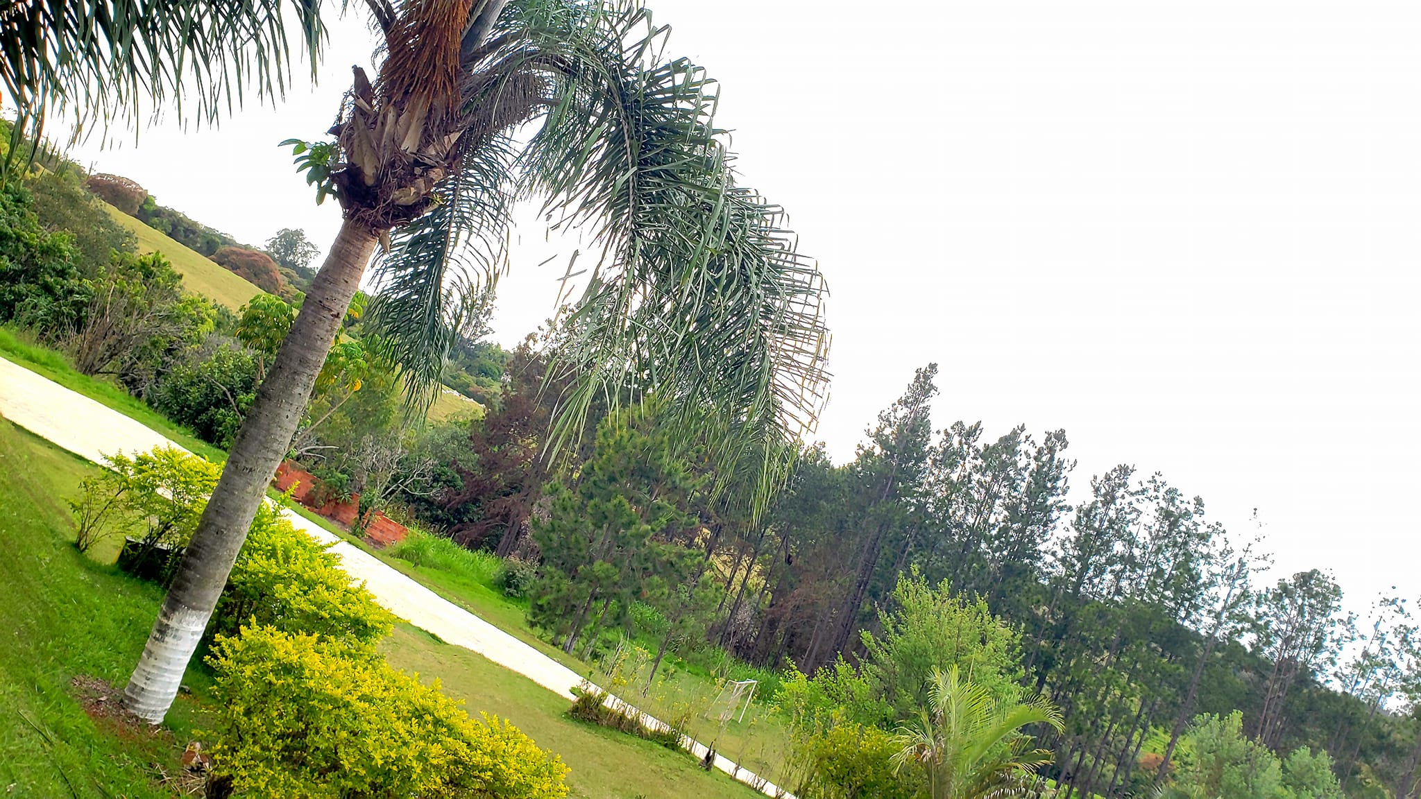 ChoppRampim ChoppRampim